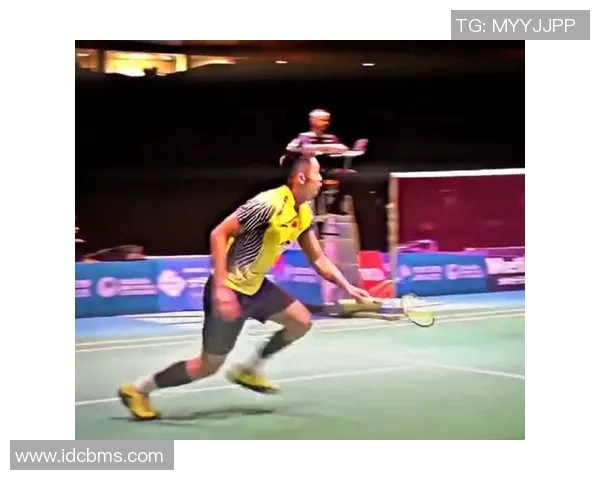 羽毛球传奇刘军的职业生涯与心路历程深度对话 羽毛球传奇刘军的职业生涯与心路历程深度对话